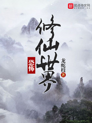 鲁大师在线播放中文版